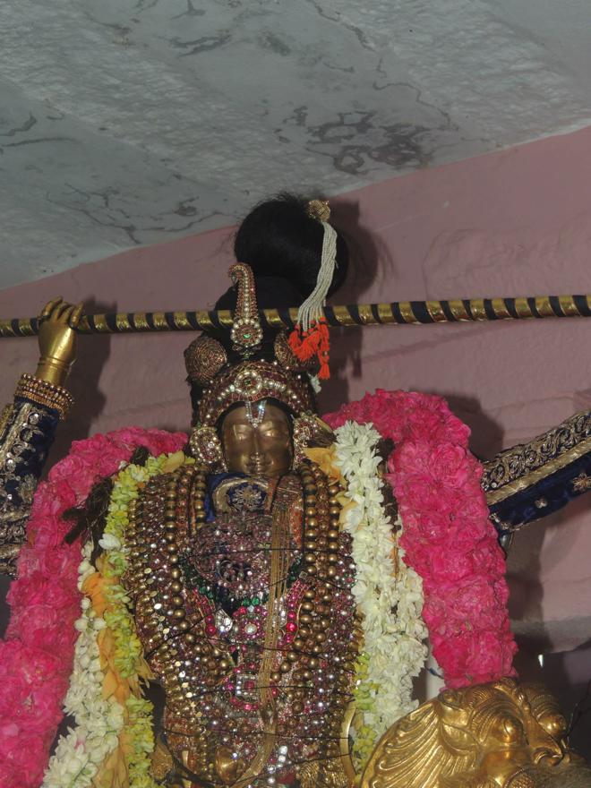 ThiruNagari-Vedupari-Utsavam_086